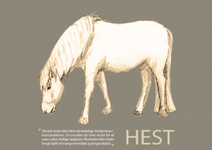 Hest_forside_A5